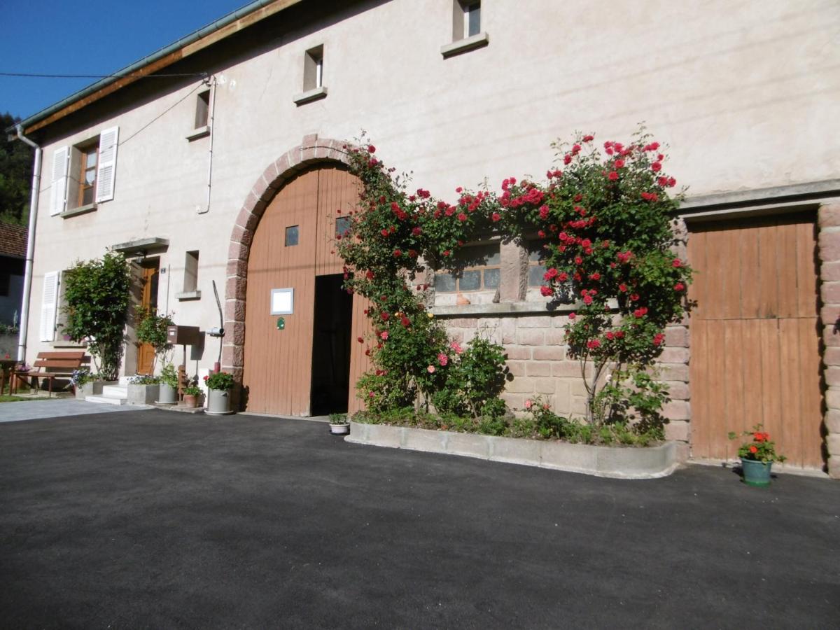 Chez Catherine Et Roger Brouvelieures Exterior foto